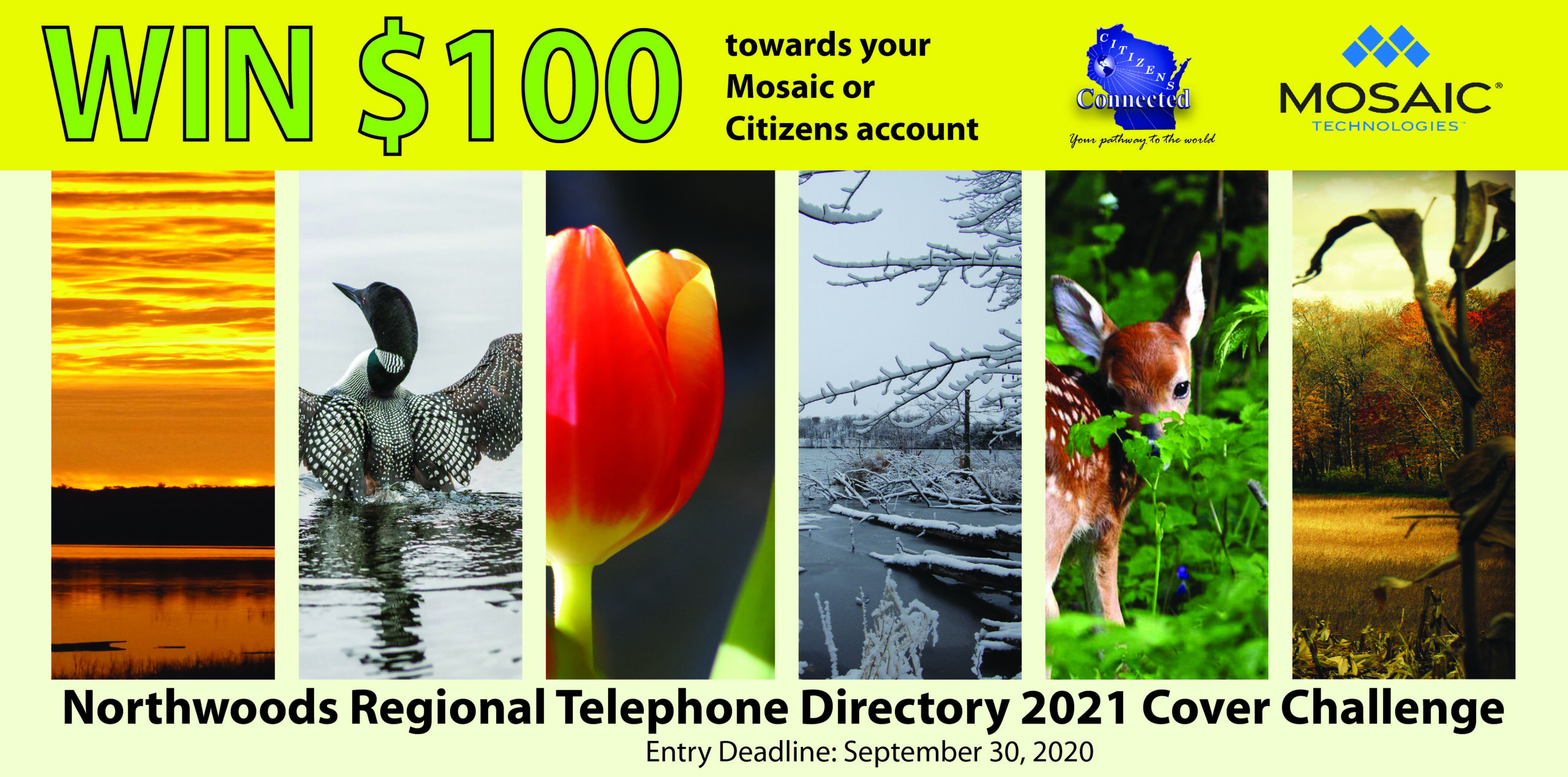 Northwoods Regional Telephone Directory Challenge 2021 | Mosaic Technolgies